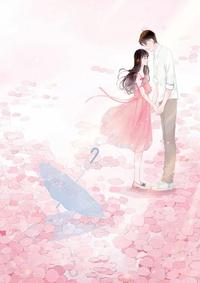 风过空留痕无删减全文免费看,主角苏一一傅樾小说阅读-美文小说