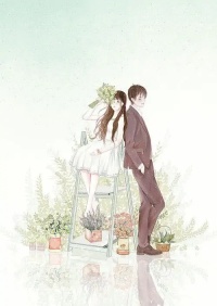 莫失回忆莫忘流年小说无删减,主角乔茵宫煜完整版全文免费阅读-美文小说