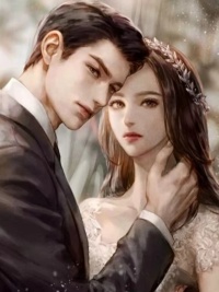 医皇至尊无删减全文免费看，主角沈晓雅强子小说章节目录阅读-美文小说