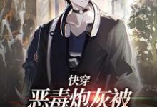 快穿:恶毒炮灰被疯批们强制爱了时安,快穿:恶毒炮灰被疯批们强制爱了章节在线阅读-美文小说