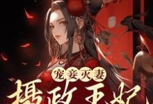 已完结小说《宠妾灭妻?摄政王妃她不干了》在线章节阅读-美文小说