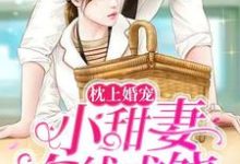 求枕上婚宠:小甜妻在线求饶小说的全文免费阅读链接-美文小说