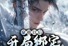 主人公叫秦洛的小说穿越以后,开局绑定反派系统在线阅读章节-美文小说