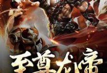 求推荐可以免费阅读至尊龙帝小说的网站-美文小说