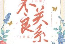 小说《不良关系》章节免费阅读-美文小说