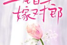 叶渺江约城小说在哪里可以看-美文小说