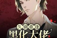 《久别重逢:黑化大佬人设崩塌了》小说大结局免费试读 沈戾纪舟野小说-美文小说