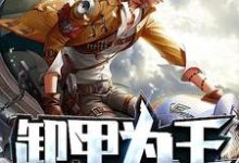 战神凌天(又名卸甲为王)小说的所有章节都能在哪里免费读到?-美文小说