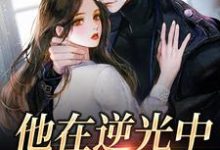 《他在逆光中告白》全集免费在线阅读（苏韵祁征）-美文小说