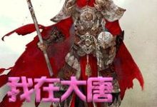 小说《我在大唐卖军火》章节免费阅读-美文小说