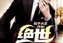 绝世医婿这本小说怎么样?免费在线阅读试试-美文小说