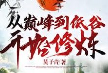 小说《从巅峰到低谷开始修炼》在线章节阅读-美文小说