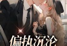 偏执沉沦:学长,晚上见小说全文阅读需要付费吗?寻找免费资源-美文小说