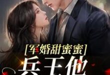 求军婚甜蜜蜜,兵王他不撒手了小说的全文免费阅读链接-美文小说