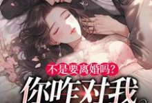 小说《不是要离婚吗?你咋对我死缠烂打》章节免费阅读-美文小说