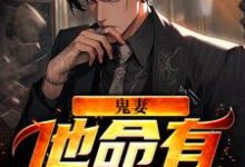 韩九坤殷霜为主角的小说好看吗?免费读鬼妻:他命有红源-美文小说