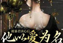 主人公叫敬姝陆瓒的小说哪里免费看-美文小说