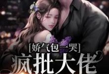 免费在线阅读娇气包一哭,疯批大佬跪地宠小说的正规网站有哪些?-美文小说