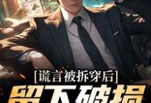 谎言被拆穿后，留下破损的婚姻免费阅读，谎言被拆穿后，留下破损的婚姻张齐赵雪-美文小说