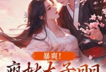 暴爽!疯批太子日日狂撩小娇妻小说无弹窗阅读的网站推荐-美文小说