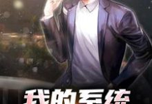 小说《我的系统,硬饭能软吃》章节阅读-美文小说