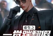 林峰是哪本书的主角?寻找重生之一觉踹翻假少爷的挑衅免费阅读-美文小说