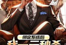 林帆的完整故事在哪里?读绑定系统后,我一元秒杀一辆奔驰小说-美文小说