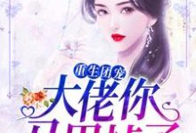 哪里能找到重生团宠:大佬你马甲掉了小说的最新更新和免费章节?-美文小说