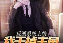 完结版《反派系统上线,我干掉主角夺气运》章节目录在线阅读-美文小说