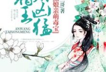 求腹黑娘亲萌毒宝：暗王，太凶猛！小说的全文免费阅读链接-美文小说