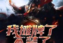 主角叫王子轩林晓雪的小说在哪阅读-美文小说