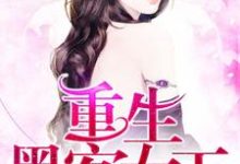 艾锦夕叶湛寒的小说在哪里看？免费在线阅读重生黑客女王-美文小说