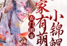 已完结小说《农门团宠:家有萌妹小锦鲤》章节在线阅读-美文小说
