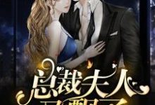 总裁，夫人又飘了陆青柠战廷东，总裁，夫人又飘了在线无弹窗阅读-美文小说