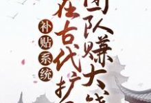 补贴系统:我在古代扩展团队赚大钱赵百汇赵锦衣,补贴系统:我在古代扩展团队赚大钱在线无弹窗阅读-美文小说