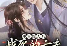 已完结小说《冲喜嫁人后,战死的亡夫归来了》章节在线阅读-美文小说