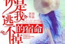 你是我逃不掉的宿命顾泽南,你是我逃不掉的宿命章节在线阅读-美文小说