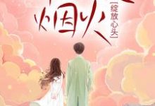 主角贺沧澜蓝蝶小说那一夜烟火,绽放心头免费阅读-美文小说