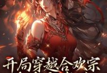 完结版《开局穿越合欢宗,被迫当海后!》章节阅读-美文小说