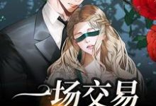 完结版《一场交易,清风沦陷》章节目录在线阅读-美文小说