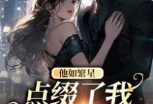 哪里能找到他如繁星,点缀了我整个星空小说的全部章节?-美文小说