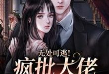 小说《无处可逃!疯批大佬强制爱》在线章节阅读-美文小说