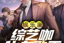 《娱乐圈：综艺咖化身歌王》全集免费在线阅读（许诚）-美文小说