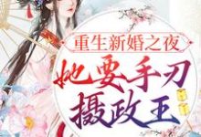 已完结小说《重生新婚之夜,她要手刃摄政王》最新章节-美文小说