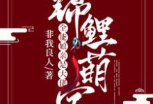 锦鲤萌宝:全能娘亲是大佬小说的免费电子版在哪里可以下载或阅读?-美文小说