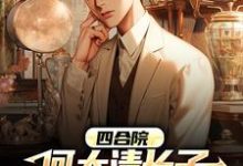 四合院:何大清长子抗美援朝回来了小说阅读,四合院:何大清长子抗美援朝回来了完结版-美文小说