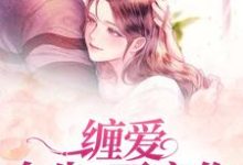 孟聿川舒渺为主角的小说叫什么?免费看缠爱:今生,要定你-美文小说