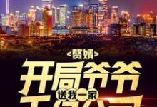 赘婿：开局爷爷送我一家千亿公司小说，赘婿：开局爷爷送我一家千亿公司最新章节-美文小说