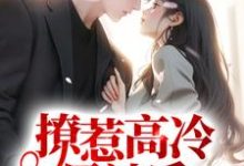 已完结小说《撩惹高冷男神后,他日日扮乖》最新章节-美文小说