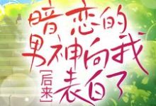 免费阅读 沈清林承洲为主角的小说,后来,暗恋的男神向我表白了在线看-美文小说